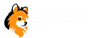 Pomeranian puppies your best companions