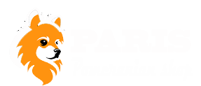 Pomeranian puppies your best companions