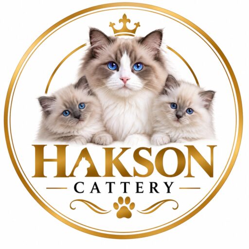 Hakson Cattery Your Best Companions